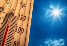 В Алтайском крае сохраняется аномально жаркая погода