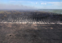 Пожар в Угловском районе в процессе локализации, угрозы населенным пунктам нет