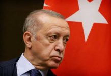 Эрдоган призвал Украину пресечь перепродажу оружия курдам