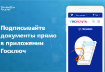 Представители Алтайского края смогут зарегистрировать бизнес в онлайн-режиме через мобильное приложение «Госключ»