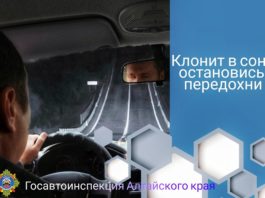 Сон за рулём