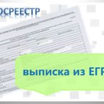 Какой срок действия у выписок из ЕГРН?