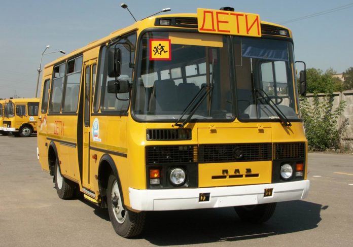 автобусы