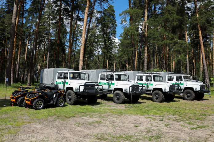 лесничество