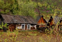 Как стать владельцем заброшенного дома и земельного участка (Бесхозное имущество)