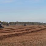 У хозяйства большие перспективы