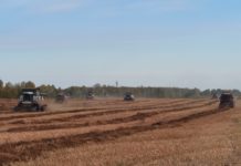 У хозяйства большие перспективы