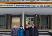 Алтайский край и Монголия укрепляют сотрудничество в сфере сельского хозяйства