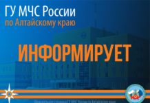 Жителям Алтайского края доступно мобильное приложение с информацией о том, что делать в чрезвычайной ситуации