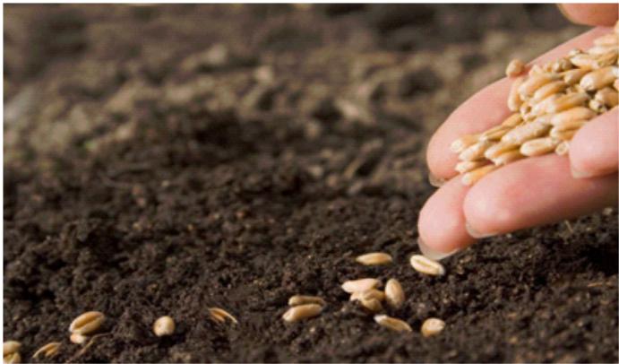 Россельхоз