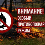 Правила пожарной безопасности в лесах