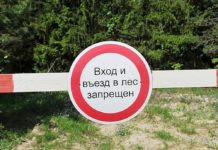 Пребывание граждан в лесах будет ограничено