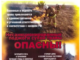 О запрете сжигания сухой травы