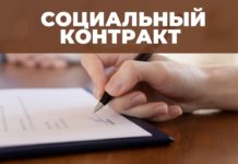Более тысячи жителей Алтайского края с помощью социального контракта стали предпринимателями
