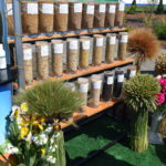 На форуме лидеров