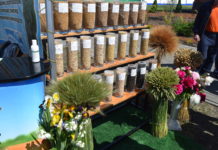 На форуме лидеров