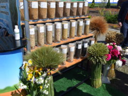 На форуме лидеров