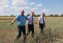 Губернатор Томенко: в Алтайском крае большие перспективы для возрождения мелиорации