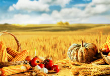 Экспорт агропромышленной продукции из Алтайского края может достигнуть 570 млн долларов