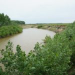 Батюшка-Алей