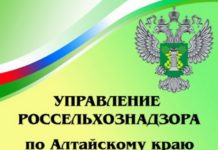 Управление Россельхознадзора по Алтайскому краю и Республике Алтай напоминает о Порядке реализации и транспортировке партий семян