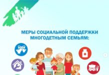 Многодетные семьи Алтайского края получат дополнительные меры социальной поддержки