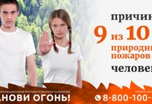 Алтайский край присоединится к противопожарной информационной кампании «Останови огонь!»