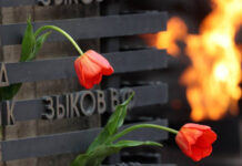 Благодаря интернет-проекту «Книга памяти Алтайского края» стала известна судьба еще одного земляка-защитника Сталинграда