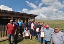 Всегда в строю