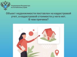 Объект недвижимости поставлен на кадастровой учет, а кадастровой стоимости у него нет. В чем причина?
