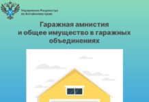 О «гаражной амнистии» и общем имуществе в гаражных объединениях