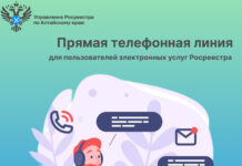 Прямая линия для пользователей электронных услуг Росреестра