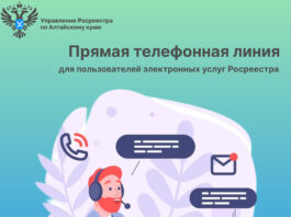 Прямая линия для пользователей электронных услуг Росреестра