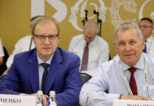 Губернатор Алтайского края Виктор Томенко принял участие в обсуждении Стратегии развития Сибири до 2035 года