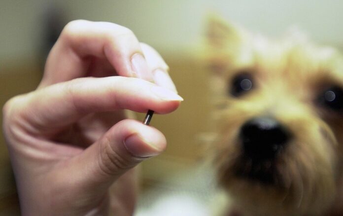 Чипирование