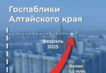 В Алтайском крае выросло количество подписчиков госпабликов