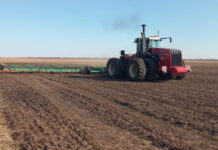 В Алтайском крае начинаются весенние полевые работы