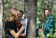 В Алтайском крае подвели итоги краевого практикума школьных лесничеств «Подрост»