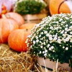 Делегация Алтайского края примет участие в Российской агропромышленной выставке «Золотая осень 2025»