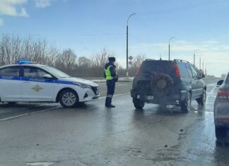 Внимание! Профилактическая проверка!