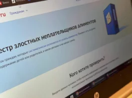 На Госуслугах заработал реестр злостных неплательщиков алиментов