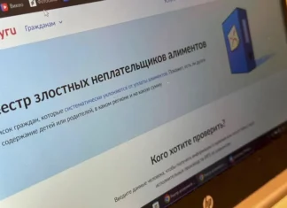 На Госуслугах заработал реестр злостных неплательщиков алиментов