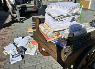 Алтайский край стал бронзовым призёром всероссийской экологической акции